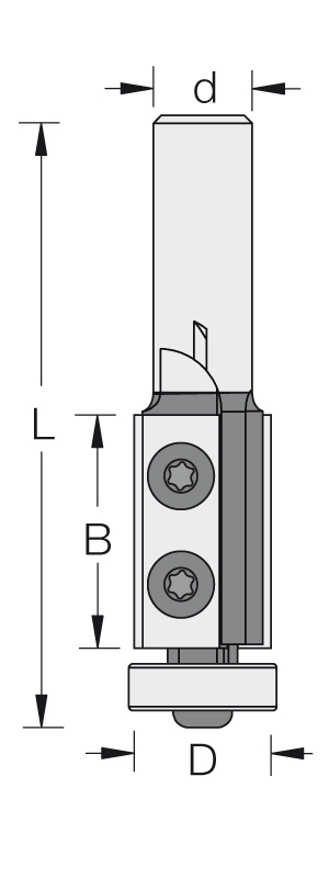 HW- (HM) WPL Bündigfräser Z2 mit Anlauflager - effektiv-werkzeuge